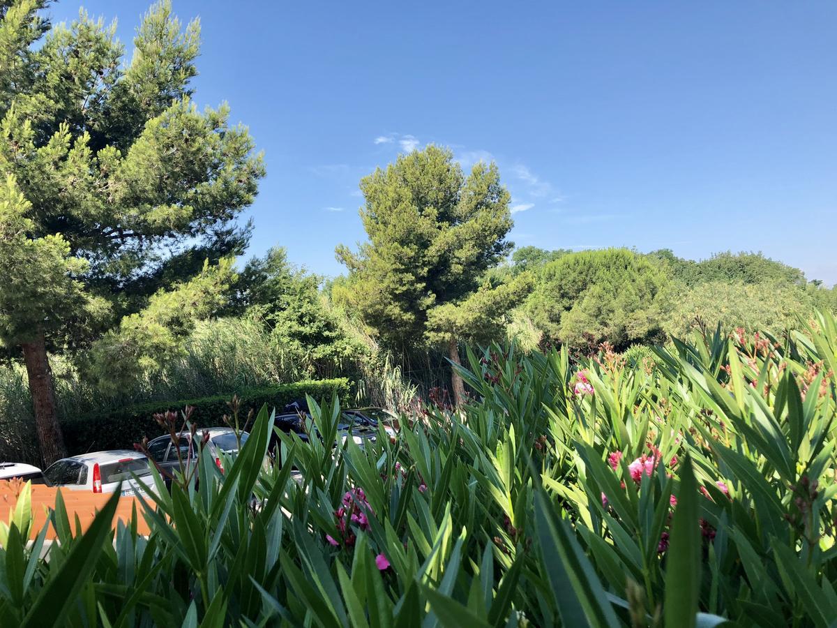 Premiere Classe Perpignan Sud ภายนอก รูปภาพ